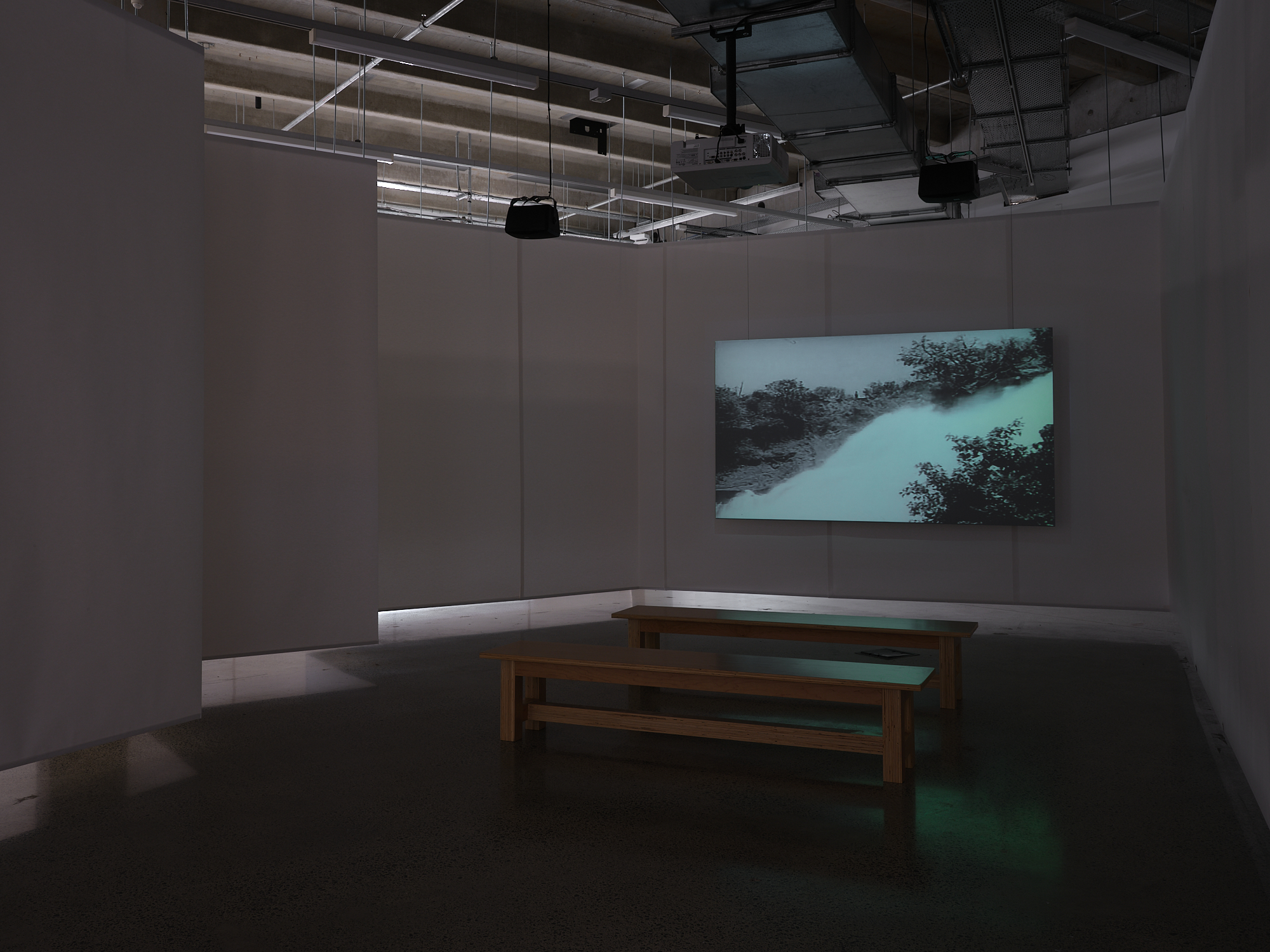 Pulp III Installation View