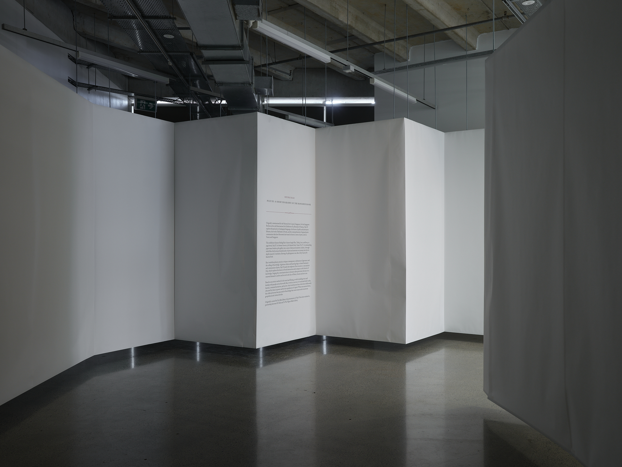 Pulp III Installation View