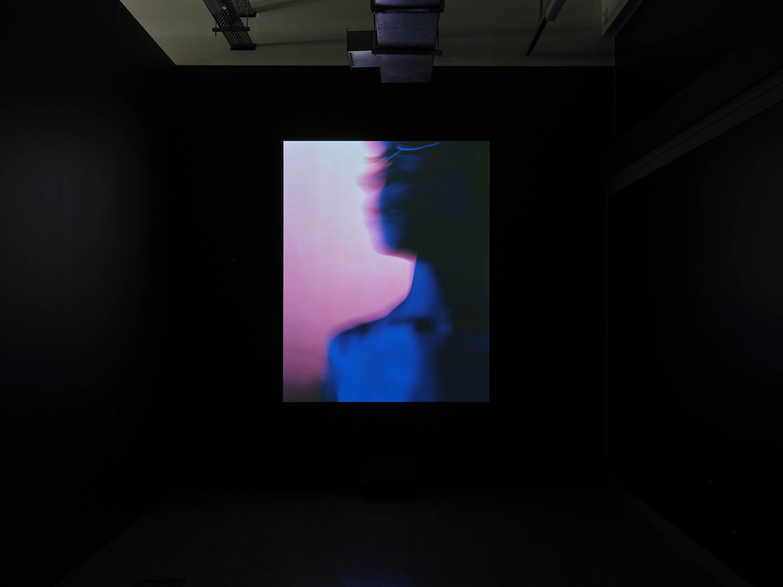 A Time of Waiting - Shannon Te Ao